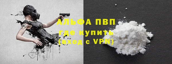гидра Гусиноозёрск