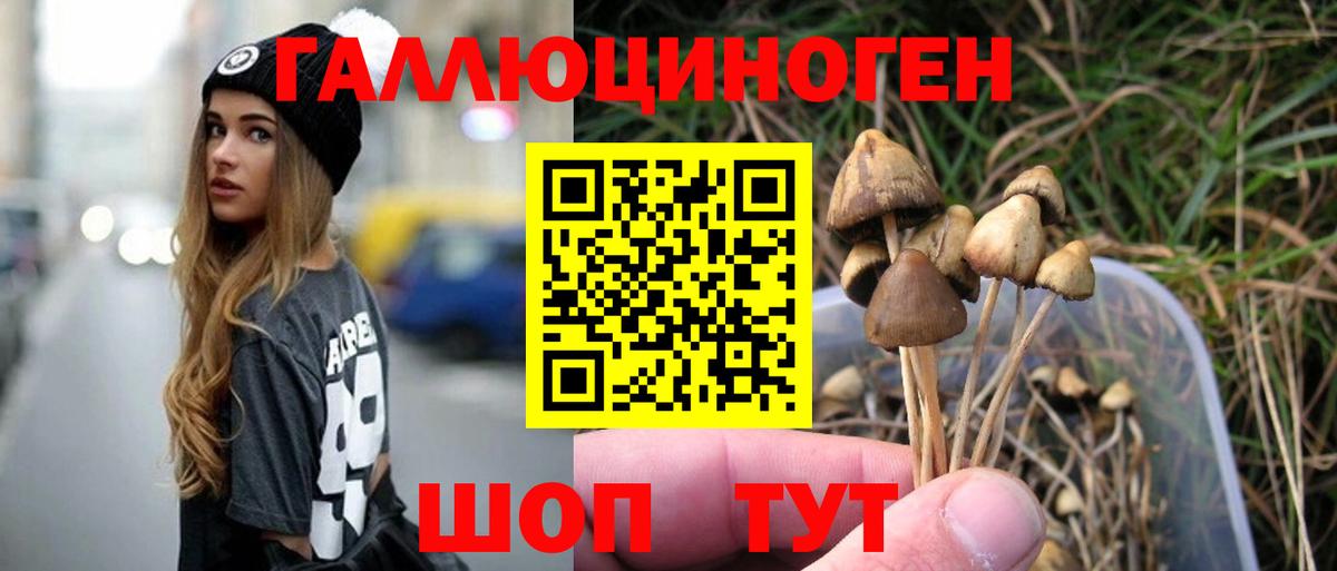 Псилоцибиновые грибы прущие грибы Дивногорск